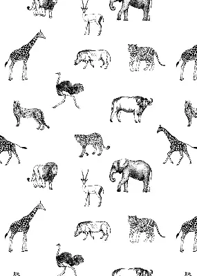 Estores de rolo para janela Animais
