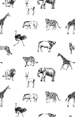 Estores de rolo para janela Animais