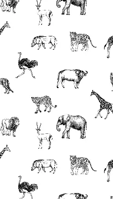 Estores de rolo para janela Animais