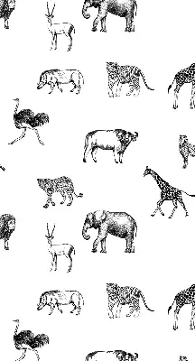 Estores de rolo para janela Animais