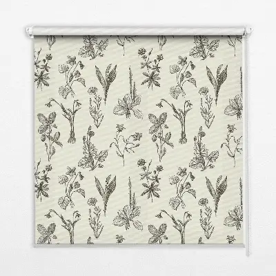 Estores de rolo interiores para janela flores desenhadas