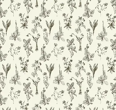 Estores de rolo interiores para janela flores desenhadas