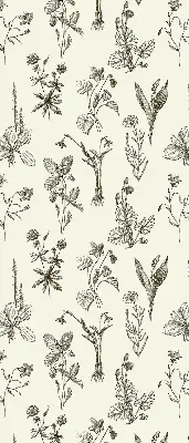 Estores de rolo interiores para janela flores desenhadas