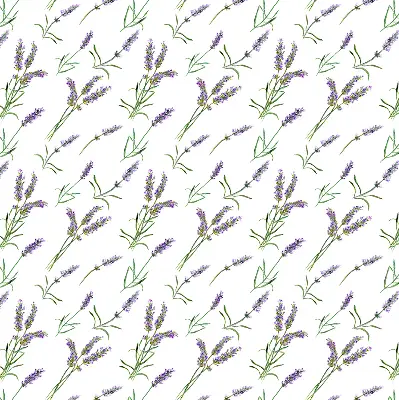 Estores de rolo em tecido Lavanda