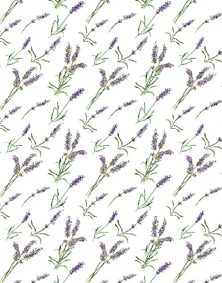 Estores de rolo em tecido Lavanda
