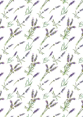 Estores de rolo em tecido Lavanda