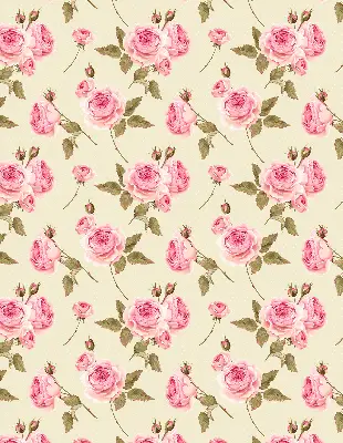 Estores de rolo interiores para janela Rosas