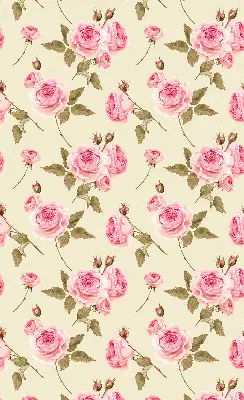 Estores de rolo interiores para janela Rosas