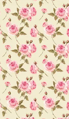Estores de rolo interiores para janela Rosas