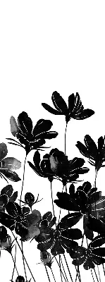 Estores de rolo para janela flores pretas
