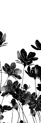 Estores de rolo para janela flores pretas