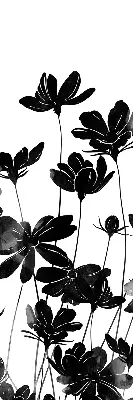 Estores de rolo para janela flores pretas