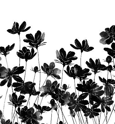 Estores de rolo para janela flores pretas
