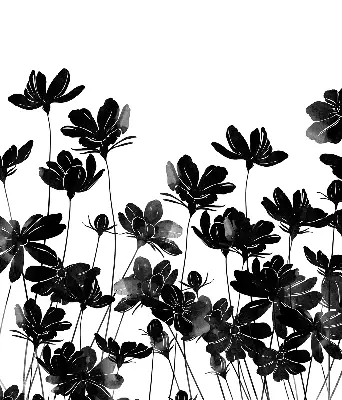 Estores de rolo para janela flores pretas