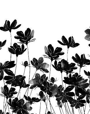 Estores de rolo para janela flores pretas