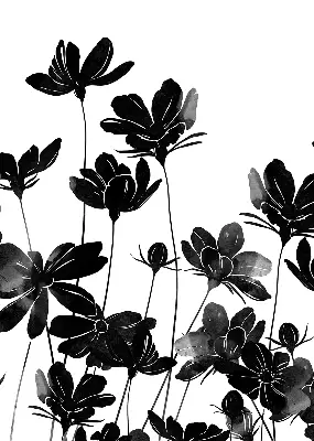 Estores de rolo para janela flores pretas