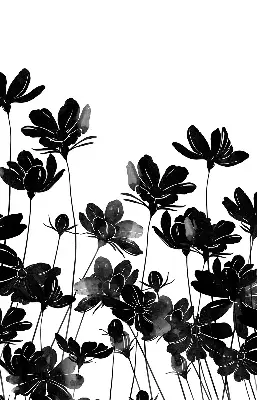 Estores de rolo para janela flores pretas