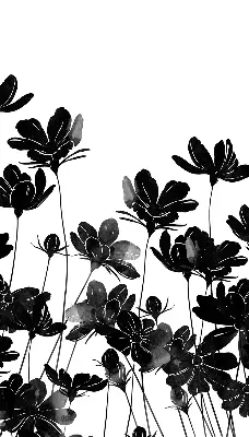Estores de rolo para janela flores pretas