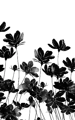 Estores de rolo para janela flores pretas
