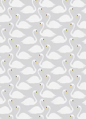 Estores de rolo interiores para janela Cisnes