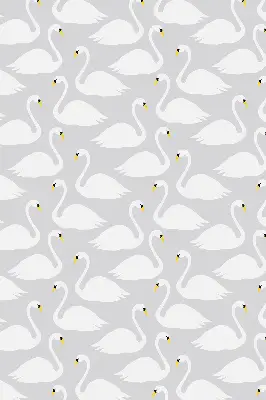 Estores de rolo interiores para janela Cisnes