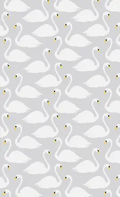 Estores de rolo interiores para janela Cisnes
