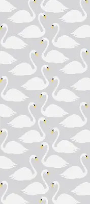 Estores de rolo interiores para janela Cisnes