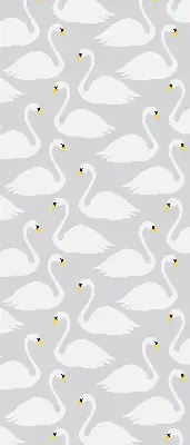 Estores de rolo interiores para janela Cisnes