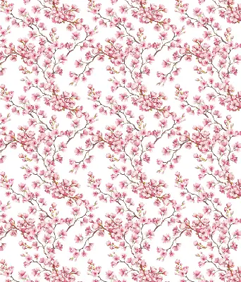Estores de rolo interiores para janela Lírio rosa
