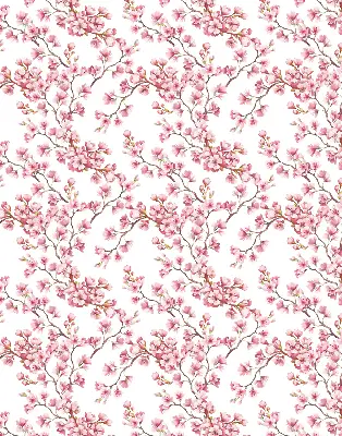 Estores de rolo interiores para janela Lírio rosa