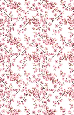 Estores de rolo interiores para janela Lírio rosa