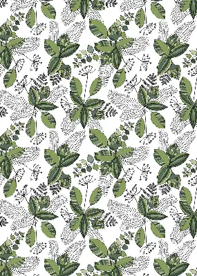 Estores de rolo para janela Plantas