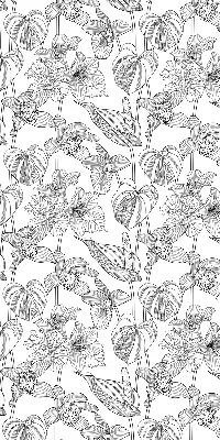 Estores de rolo interiores para janela flores desenhadas