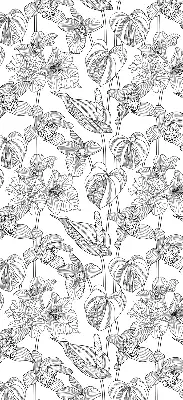 Estores de rolo interiores para janela flores desenhadas