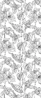Estores de rolo interiores para janela flores desenhadas