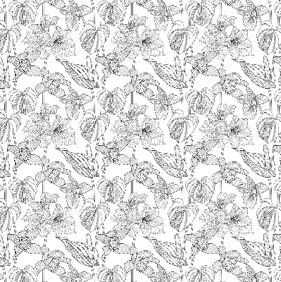 Estores de rolo interiores para janela flores desenhadas