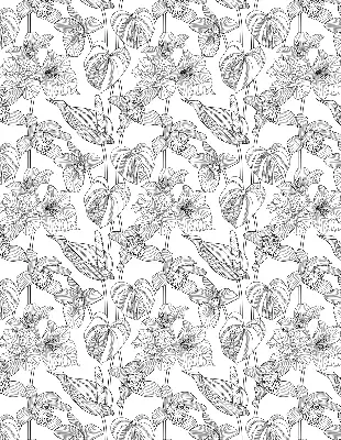 Estores de rolo interiores para janela flores desenhadas