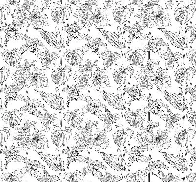 Estores de rolo interiores para janela flores desenhadas