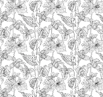 Estores de rolo interiores para janela flores desenhadas