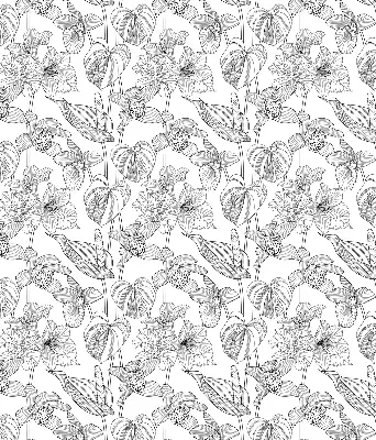 Estores de rolo interiores para janela flores desenhadas