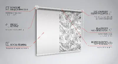 Estores de rolo interiores para janela flores desenhadas