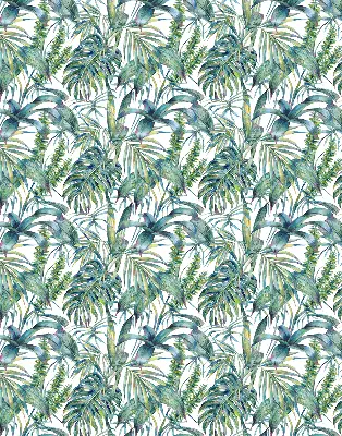 Estores de rolo interiores para janela Folhas tropicais