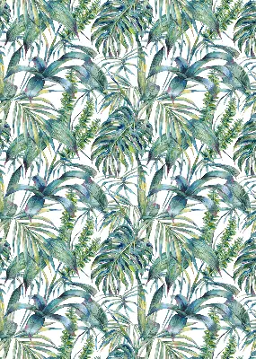 Estores de rolo interiores para janela Folhas tropicais