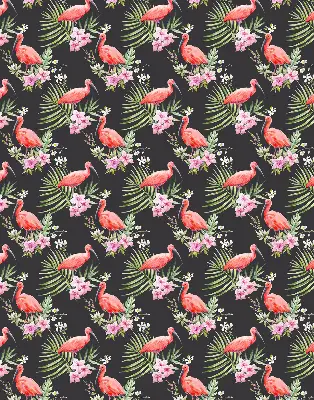 Estores de rolo em tecido Flamingos em plantas