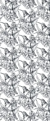 Estores de rolo interiores para janela flores desenhadas