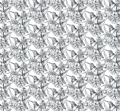 Estores de rolo interiores para janela flores desenhadas
