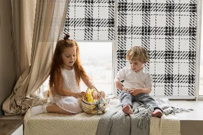 Estores de rolo interiores Tartan cinza