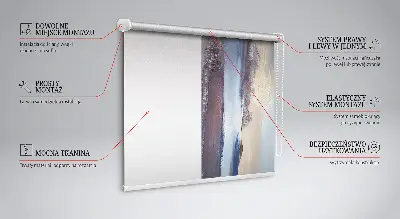 Estores de rolo para janela Quadro pintado