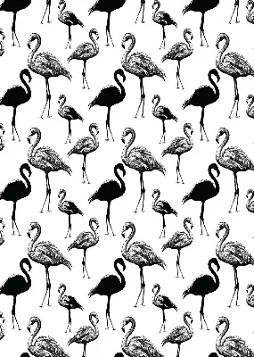 Estores de rolo para porta de varanda flamingos pretos