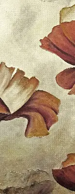 Estores de rolo interiores para janela Flores